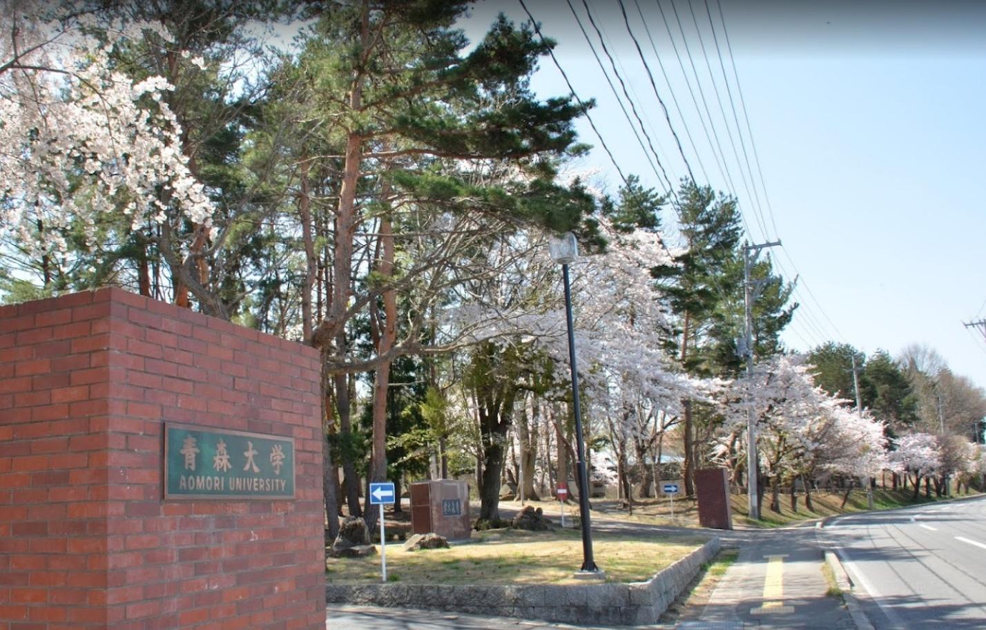 青森大學目前尚未透露福原愛授課的內容。(圖/翻攝自Google地圖)