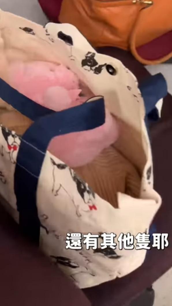 慧慈包包還有另一隻娃娃。(圖/翻攝自薔薔臉書)