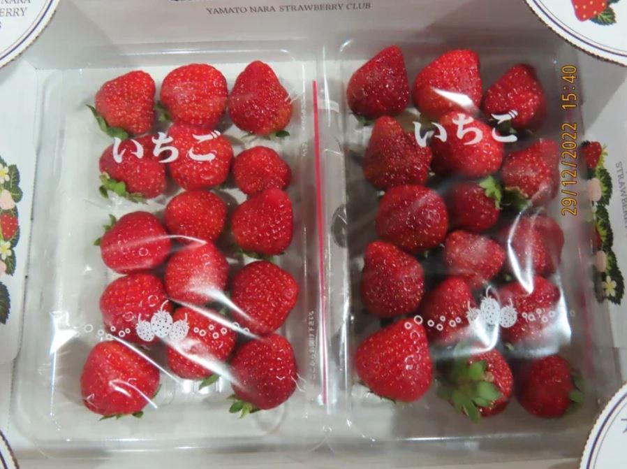 日本草莓檢驗出殘留農藥。(圖/食藥署)