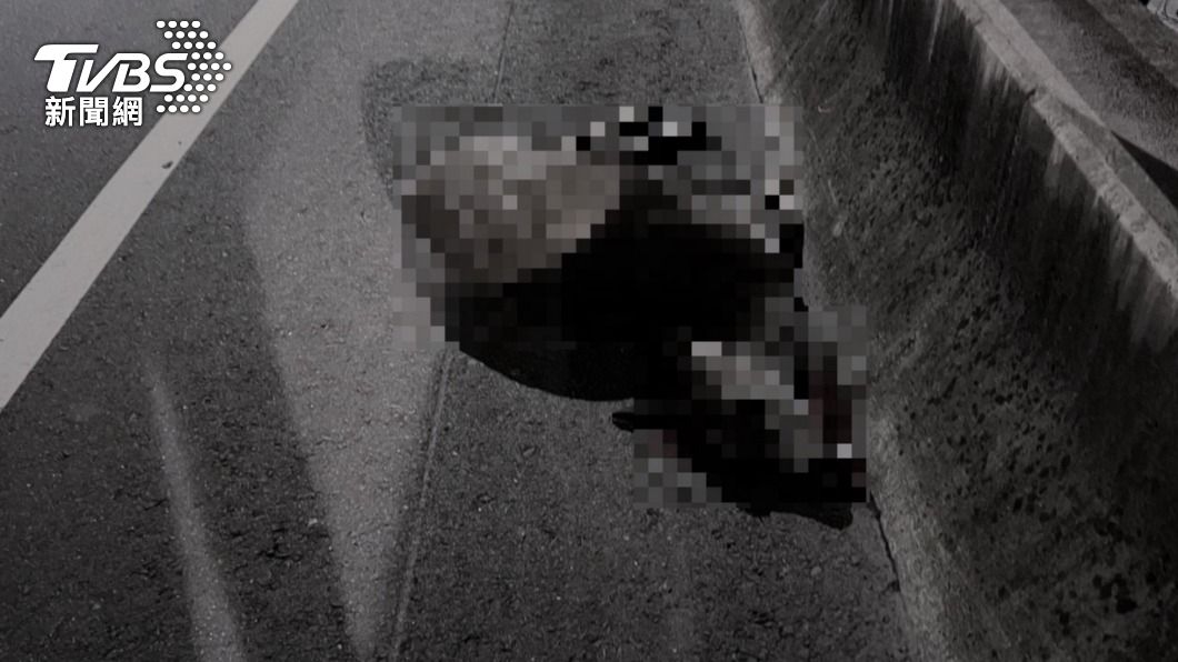 水鹿當場死亡。(圖/TVBS)