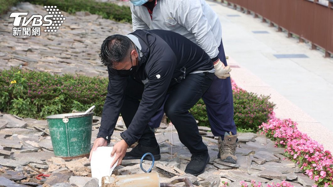 丁強兒子將骨灰倒入墓地。(圖/梁恩誌攝)