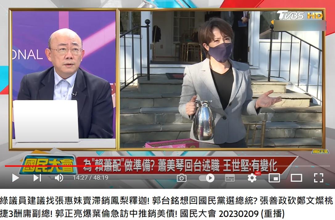 郭正亮坦言蕭美琴這樣的駐美代表很罕見,若回來當副手有點浪費。(圖/翻攝自國民大會YouTube)