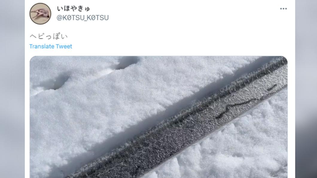 拍攝者指出，這些黑影很像蛇。（圖／翻攝自推特）