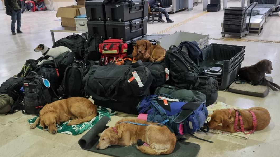 遠赴土耳其救援！搜救犬任務結束返國　機場全累趴畫面曝光