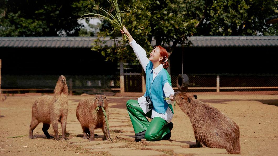 吳映潔在埔心牧場裡的小動物們自然相處。（圖／吳映潔工作室提供）
