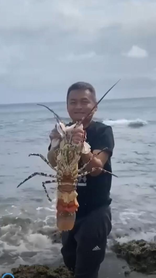 蔡老闆決定放生龍蝦。(圖/業者提供)