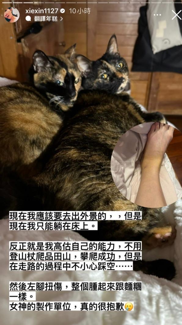 謝忻的腳無預警扭傷。（圖／翻攝自謝忻IG）