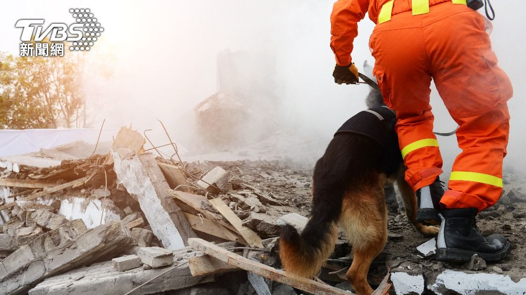 土國強震「汪英雄」成焦點!搜救犬割傷卻不穿鞋 5QA一次看