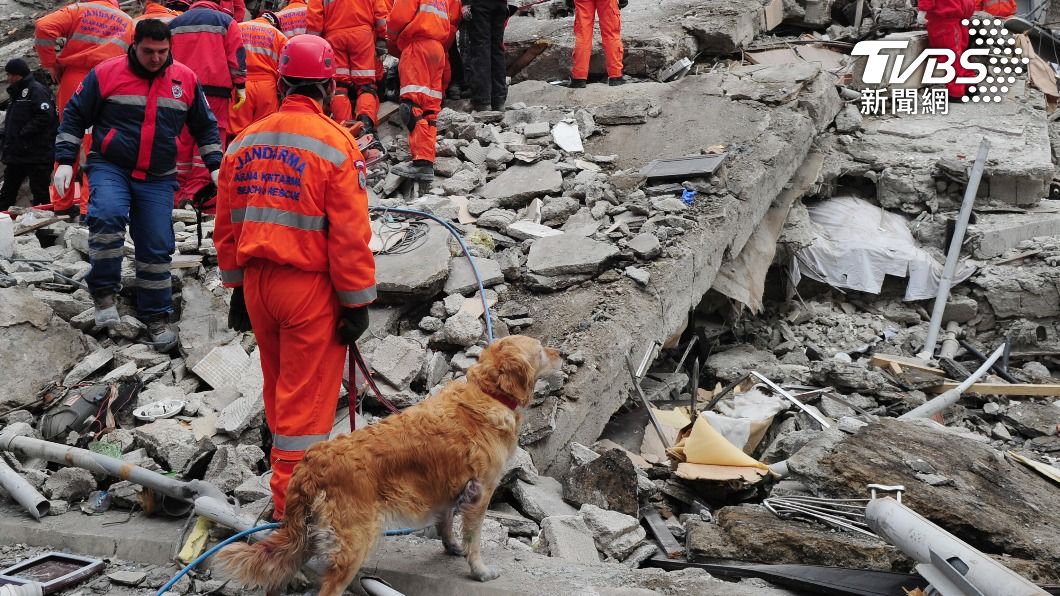 基本上會讓搜救犬去找尋看不見的待救者。(示意圖/shutterstock達志影像)