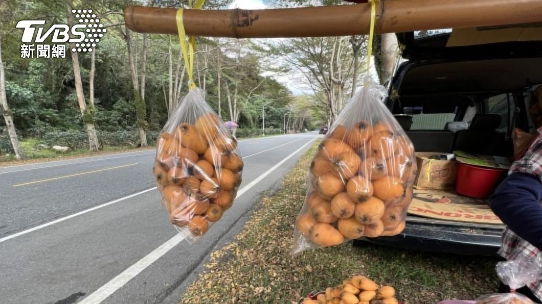 台東縱谷早春枇杷上市 口感鮮嫩多汁