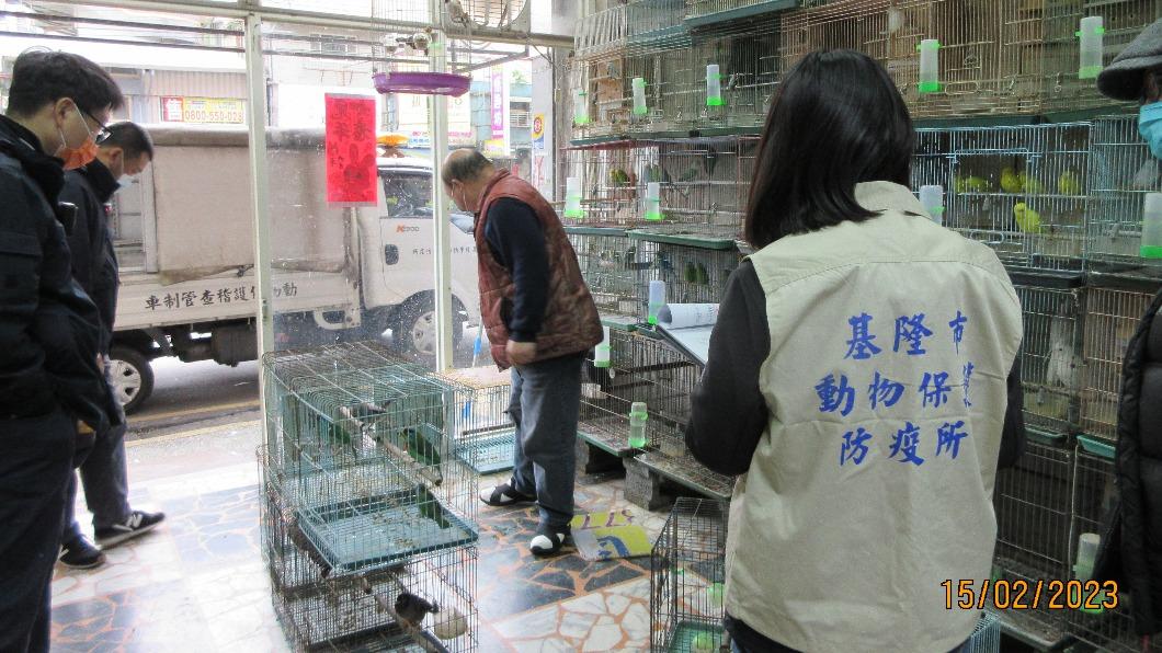 搶救!近百隻台灣原物種鳥類被販售 基隆動保所助野放