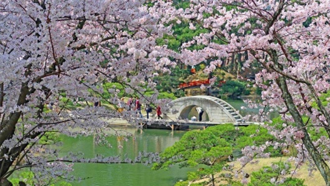 縮景園庭院美景如畫。( 圖 / HIT廣島縣觀光聯盟提供)