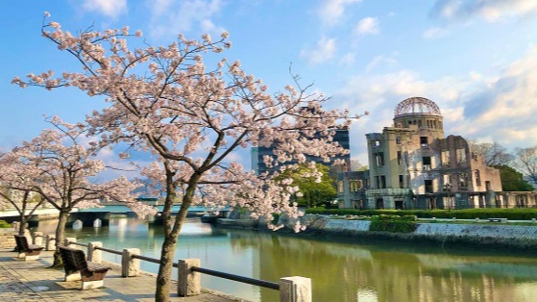 日本北國還在下雪 廣島櫻花已經悄悄準備登場囉