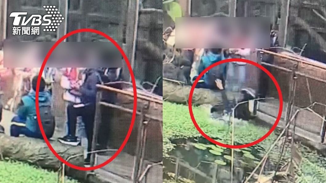 國小男童「慘跌北市動物園水池」 疑顧滑手機踩空畫面曝