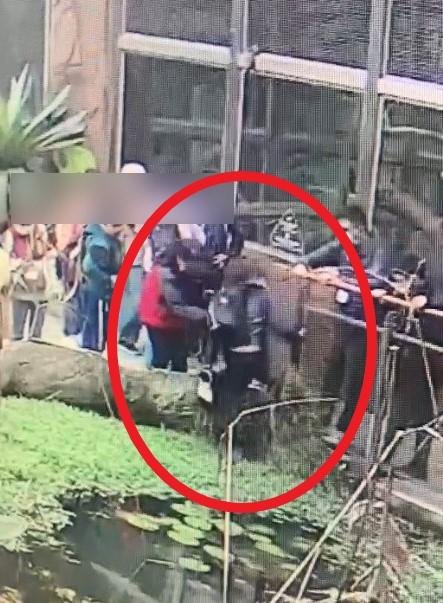男童上岸時趕緊將手機遞給同伴。(圖/北市動物園提供)