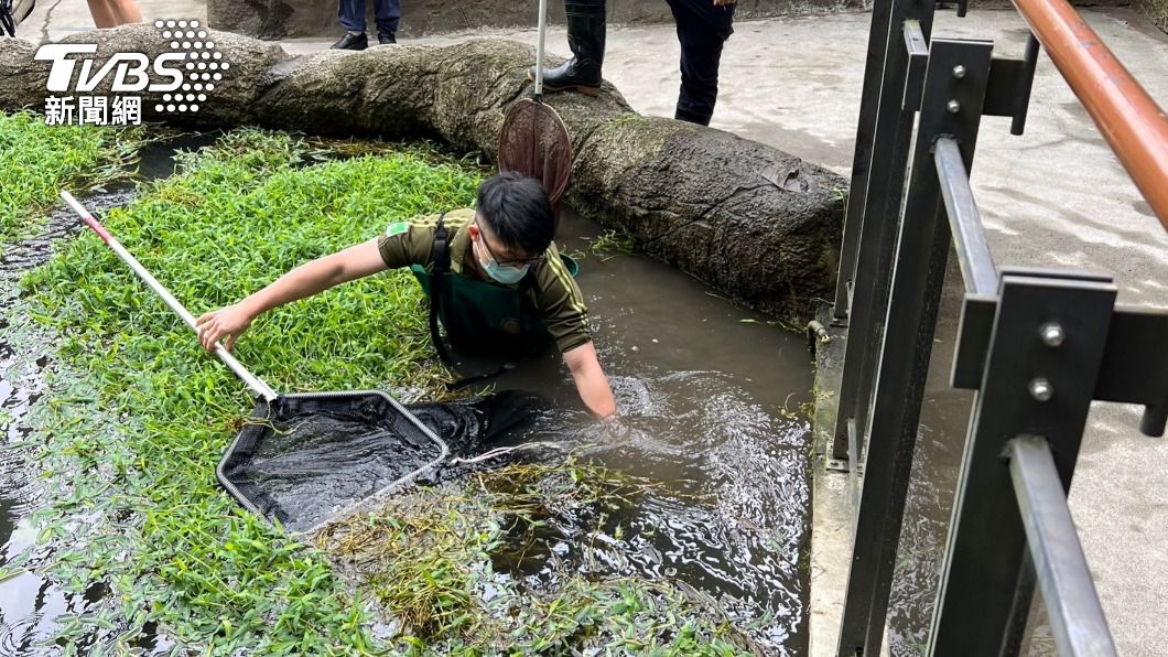 園方派員下水打撈男童的錢包。(圖/北市動物園提供)