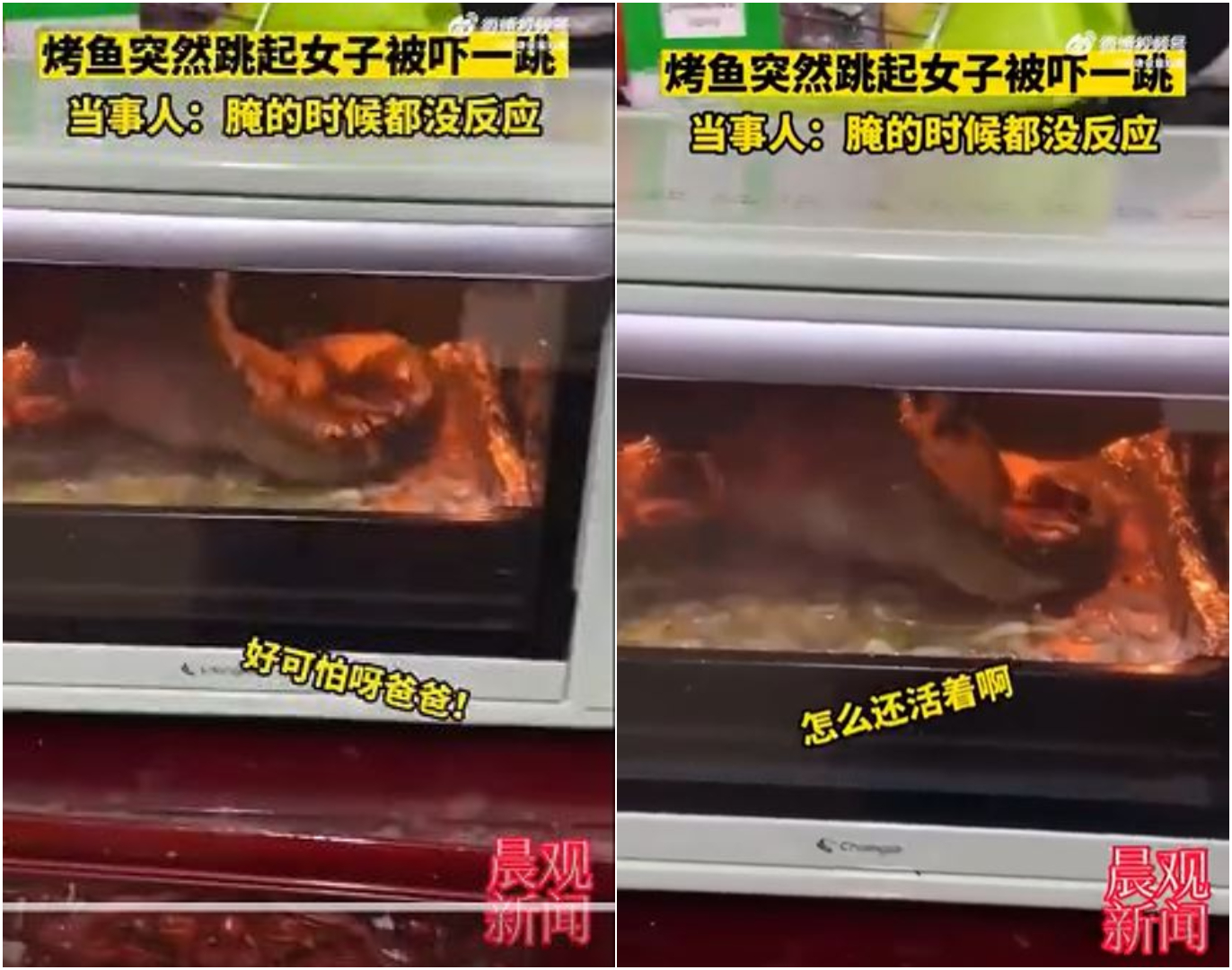 女子嚇到狂喊爸爸。（圖／翻攝自《晨觀新聞》）