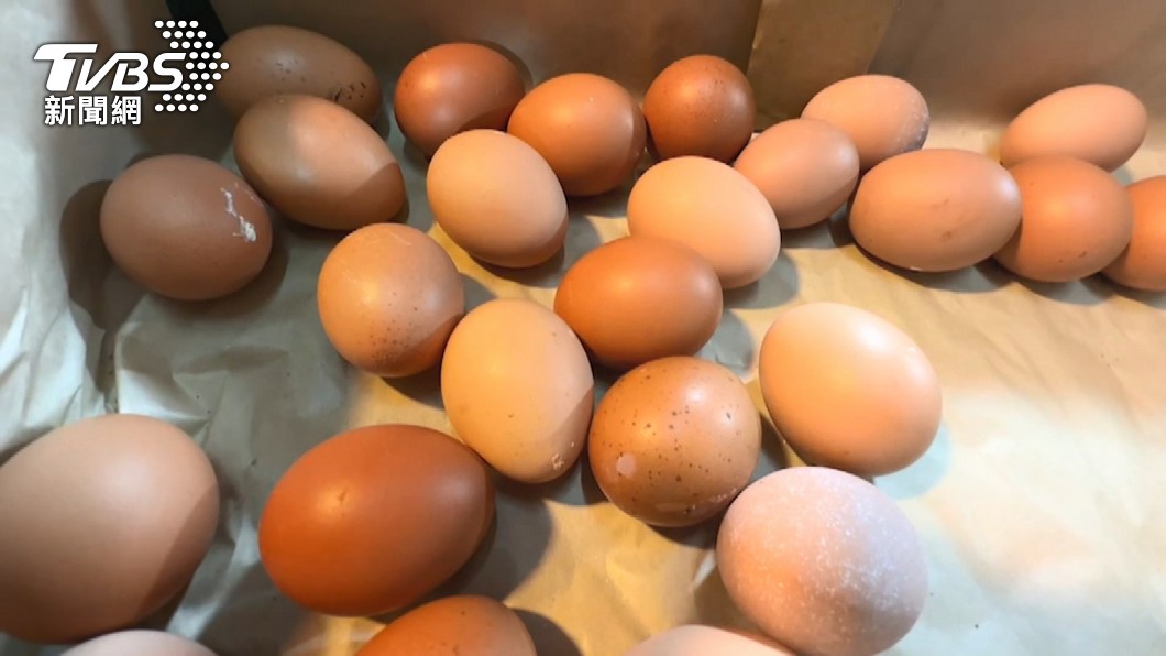 不吃蛋也可! 營養師列「攝取蛋白質來源」:豆製品優先