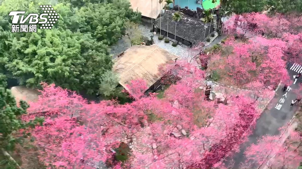 圖／TVBS