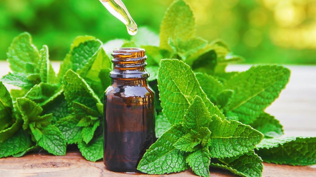薄荷油可以緩解腸躁症疼痛。(示意圖/shutterstock 達志影像)