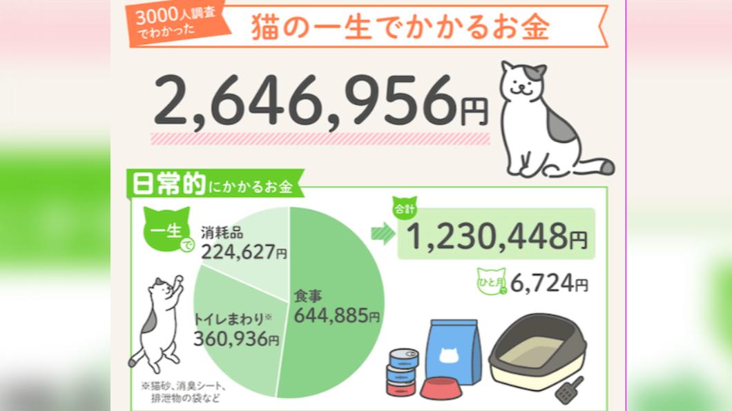 調查顯示,定期需要支出飼料費、消耗品和廁所相關費用。(圖/翻攝自R&C網站)