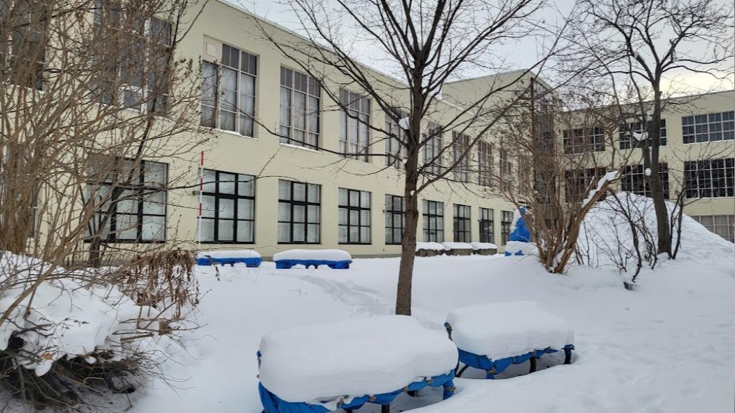 鏟雪是比賽! 北海道小樽學生組隊拚除雪開路爭第一
