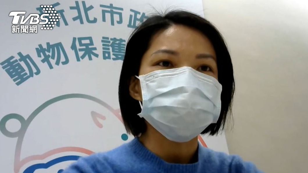 新北市動保處長楊淑方。(圖/TVBS)