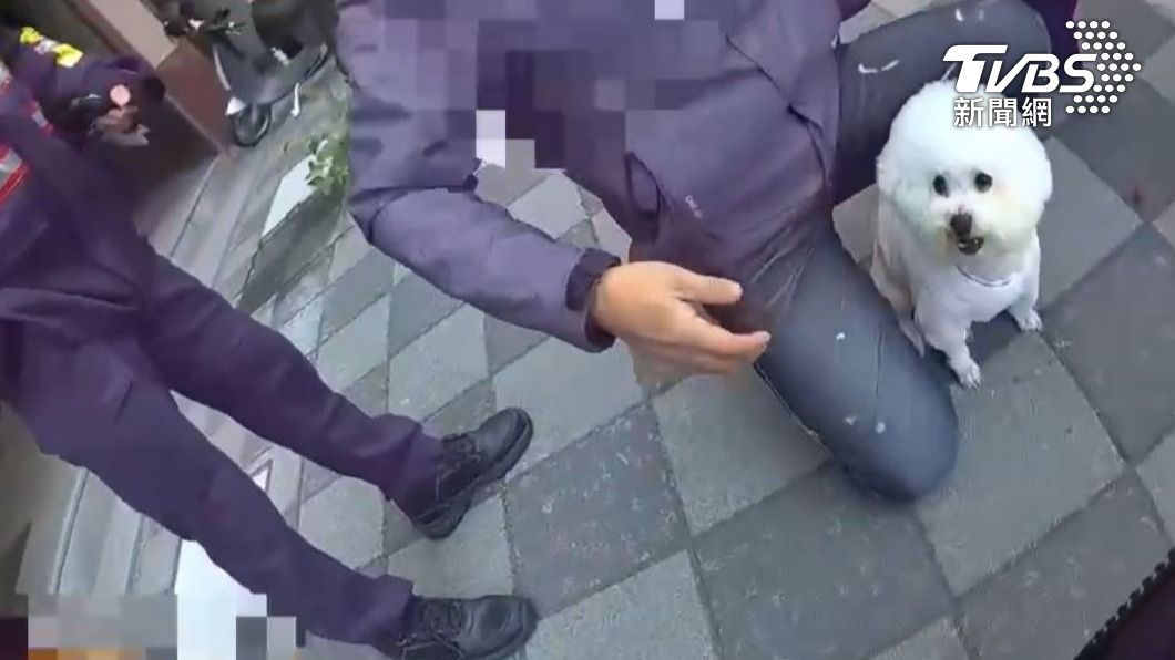 男子被查獲毒品後心繫愛犬，央求員警讓他先回家安置。（圖／TVBS）