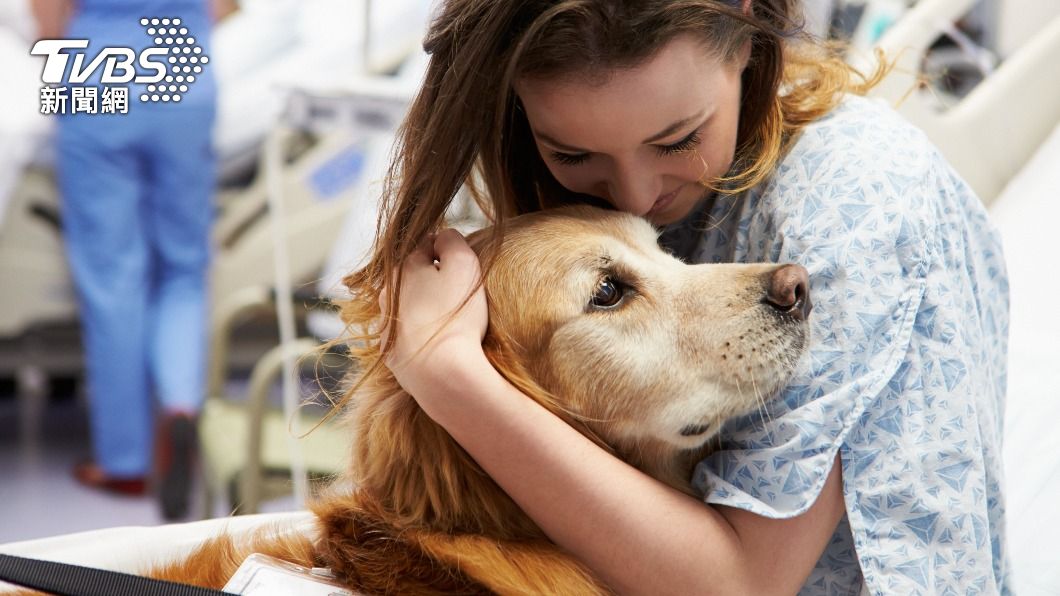 此研究可運用在訓練服務犬和治療犬上。(示意圖,非當事人/shutterstock達志影像)
