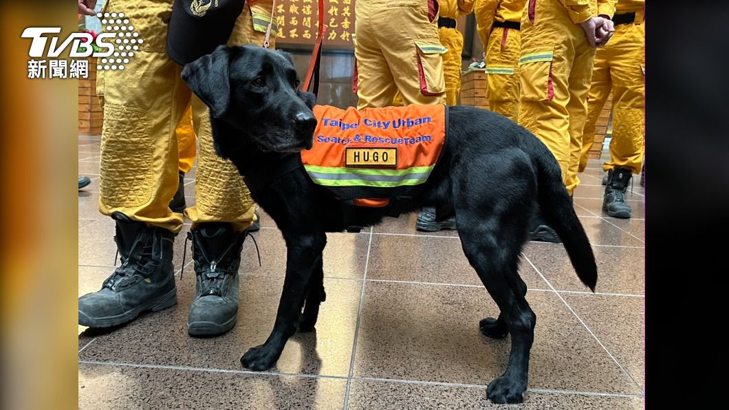 搜救犬「Hugo」個性活潑親人，成為最萌亮點。（圖／林至柔攝）