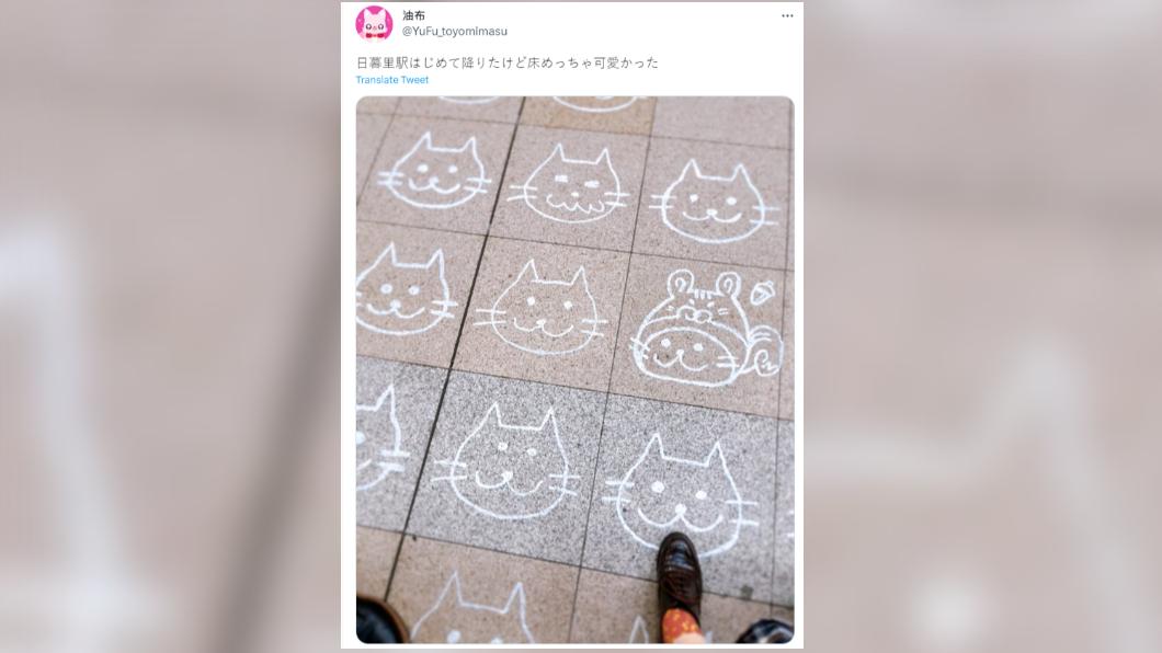 民眾發現貓咪塗鴉相當驚喜。(圖/翻攝自推特)