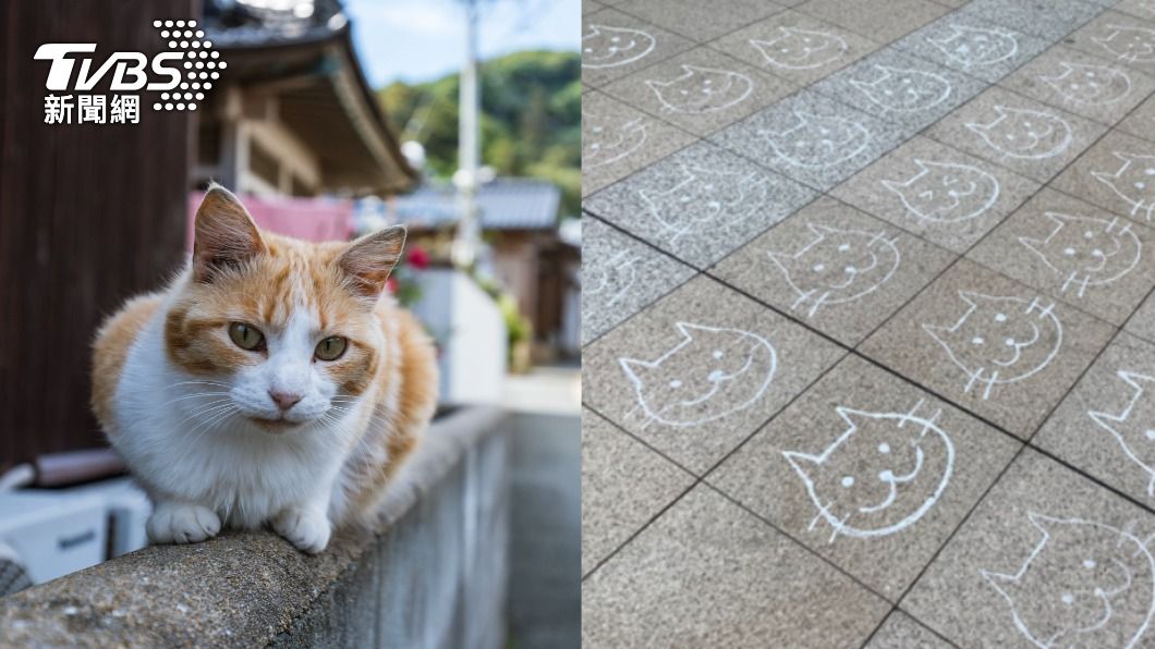 今天是貓之日!東京日暮里站現「222隻貓」 路人超驚喜