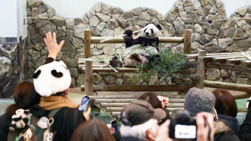 圖／翻攝自微博