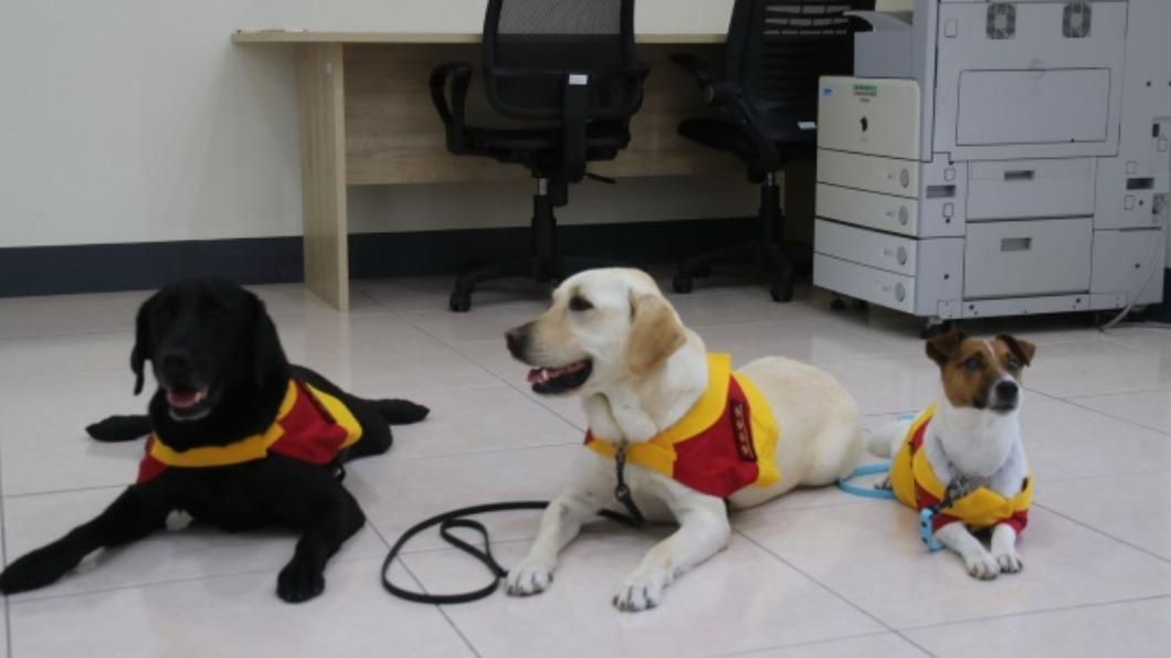接軌國際 台東與日本搜救犬訓練士協會簽MOU