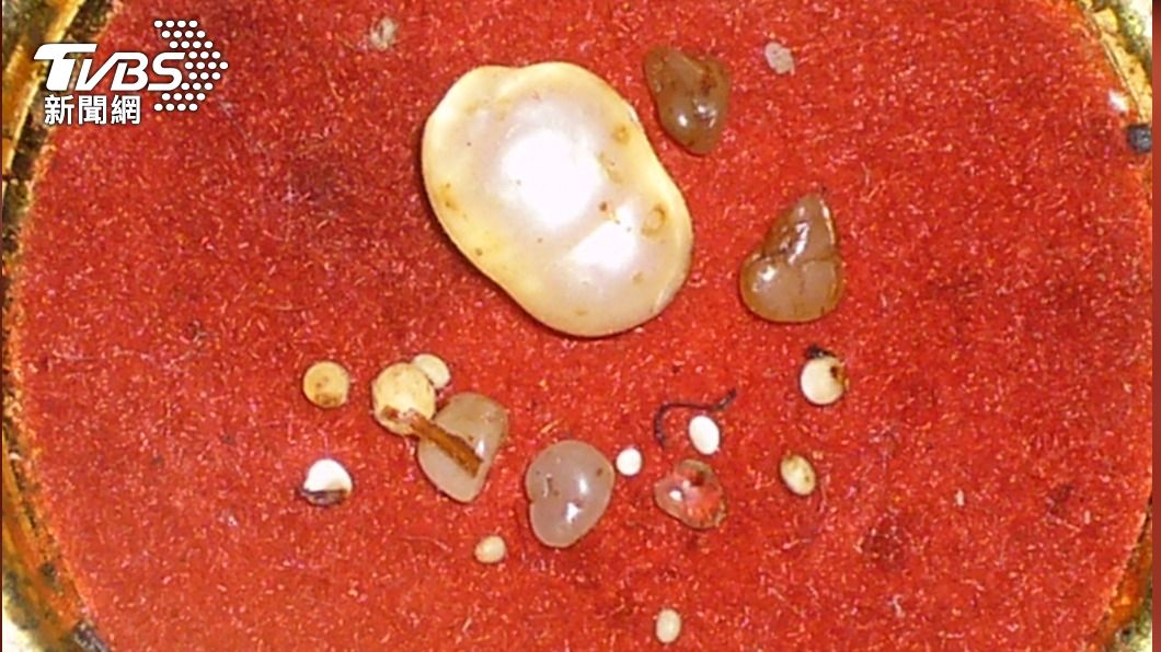 楊登嵙母親獲得的高僧舍利子,經30多年來增大十多倍,且旁邊增生17顆小舍利子。(圖/楊登嵙提供)