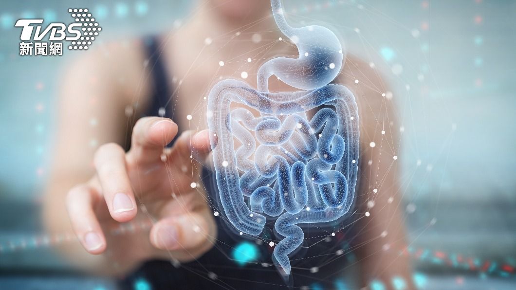 當腸道缺乏好菌時,會導致咳不停。(示意圖/shutterstock達志影像)