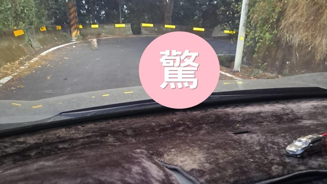 開車驚見「路中活春宮」!火辣第一視角曝 男嚇壞:這麼囂張