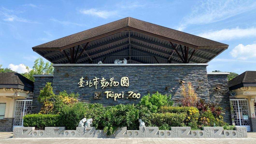 台北市立動物園的大熊貓團團、圓圓是大家喜愛的動物之一。(圖/翻攝自台北市立動物園臉書)