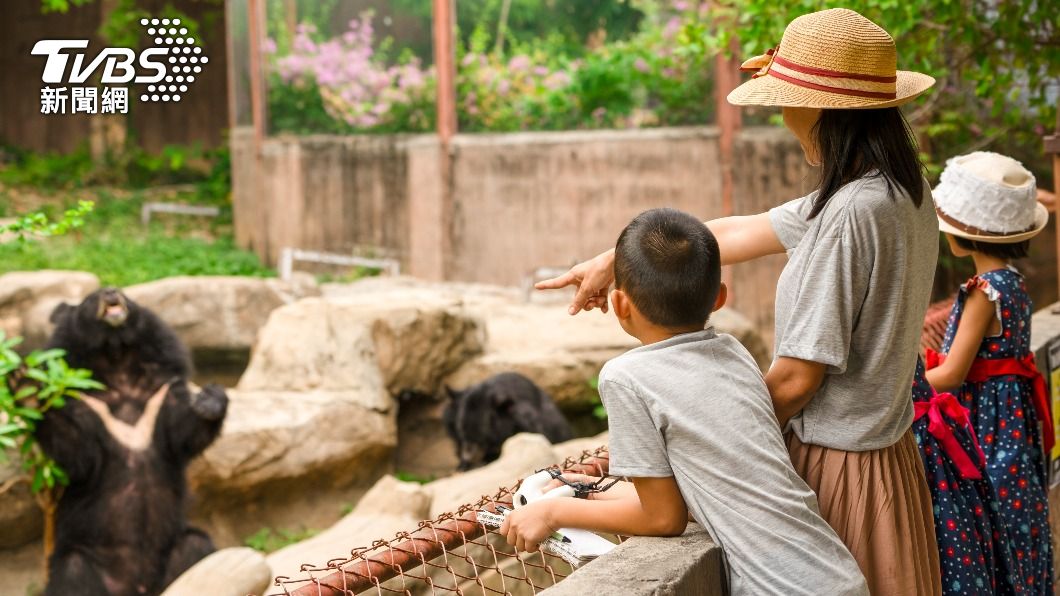 連假帶小孩放電!6大必去動物園 全台「最老」在這縣市