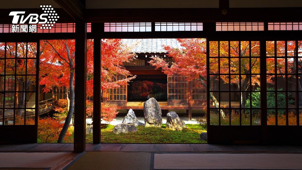 日本氣象史上「最熱夏天」 楓葉不紅.作物不長
