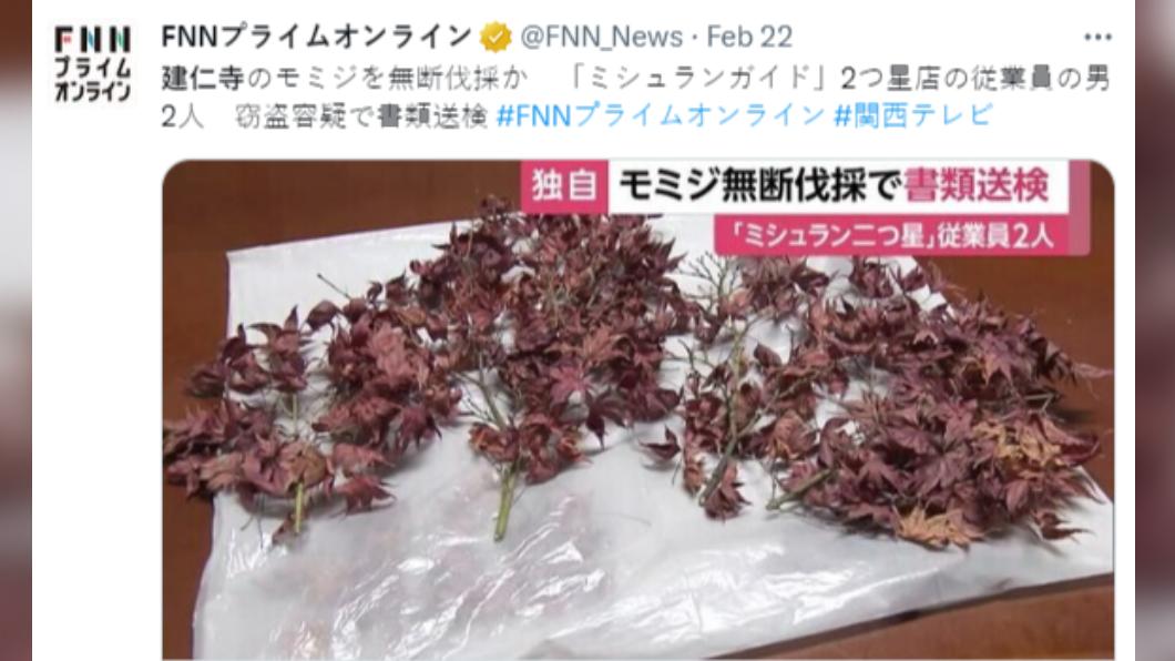 2名男子形跡鬼祟,塑膠袋中裝有大量楓葉樹枝。(圖/翻攝自推特)