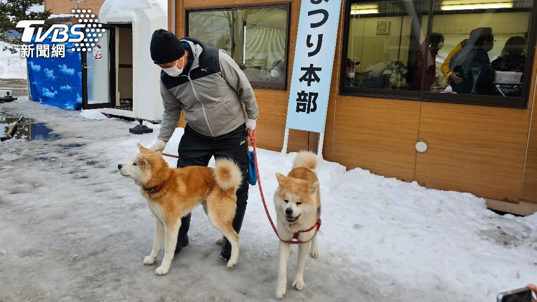 日本本國的旅客會帶著狗狗來到現場。(圖/葉韋辰攝)