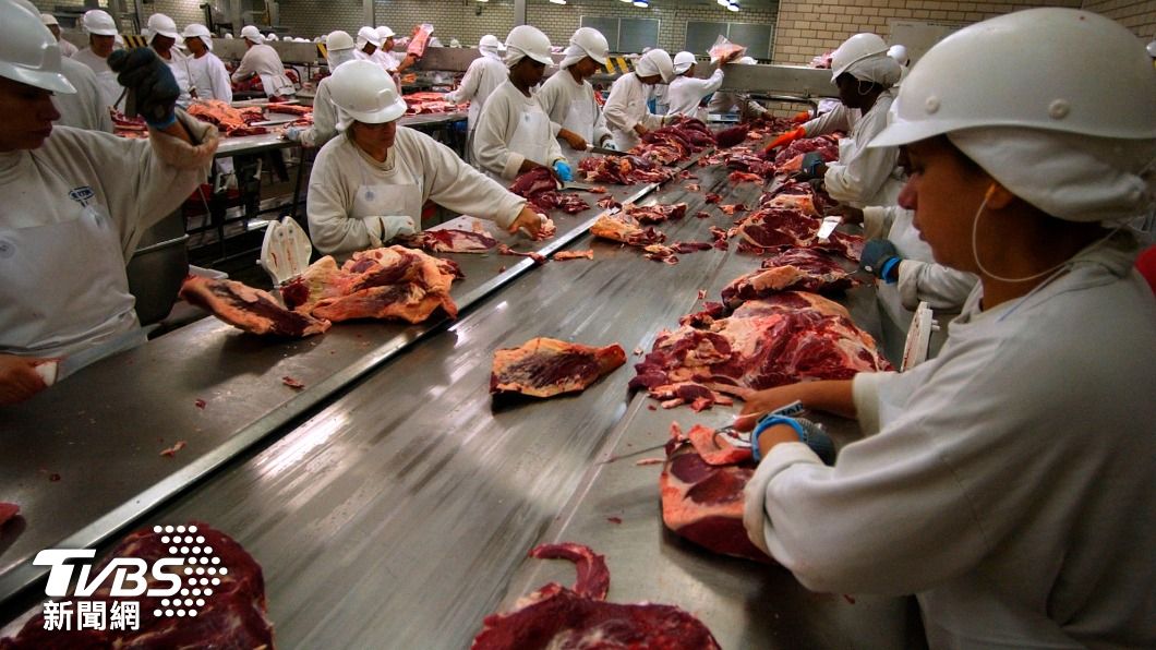 狂牛病毒入侵北部省份 巴西暫停向大陸出口牛肉