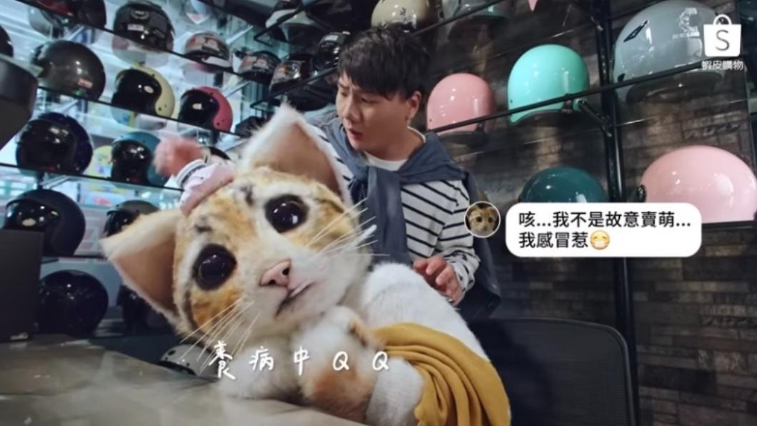 貓老闆也遭誤會,其實是身體不舒服。(圖/蝦皮購物)