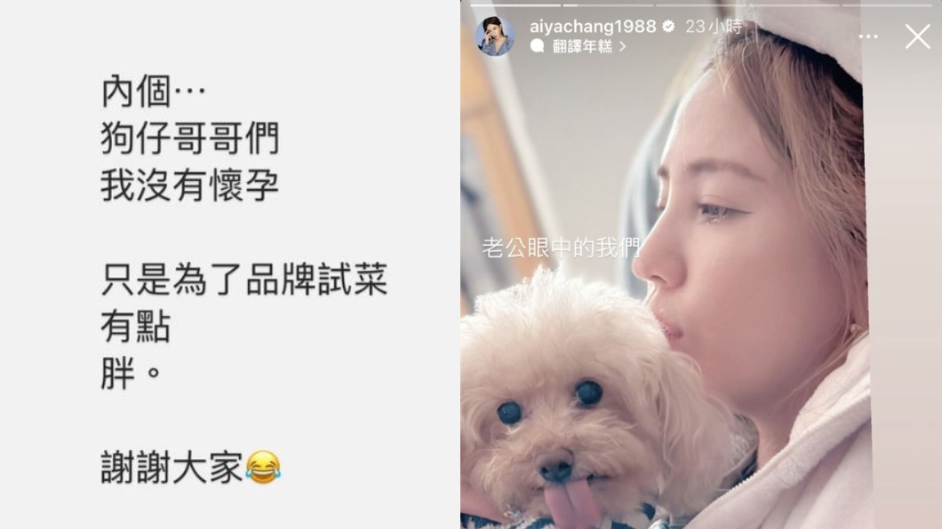 愛雅閃婚3月近日被拍到疑似懷孕她現身回應了。(圖/翻攝自愛雅IG)
