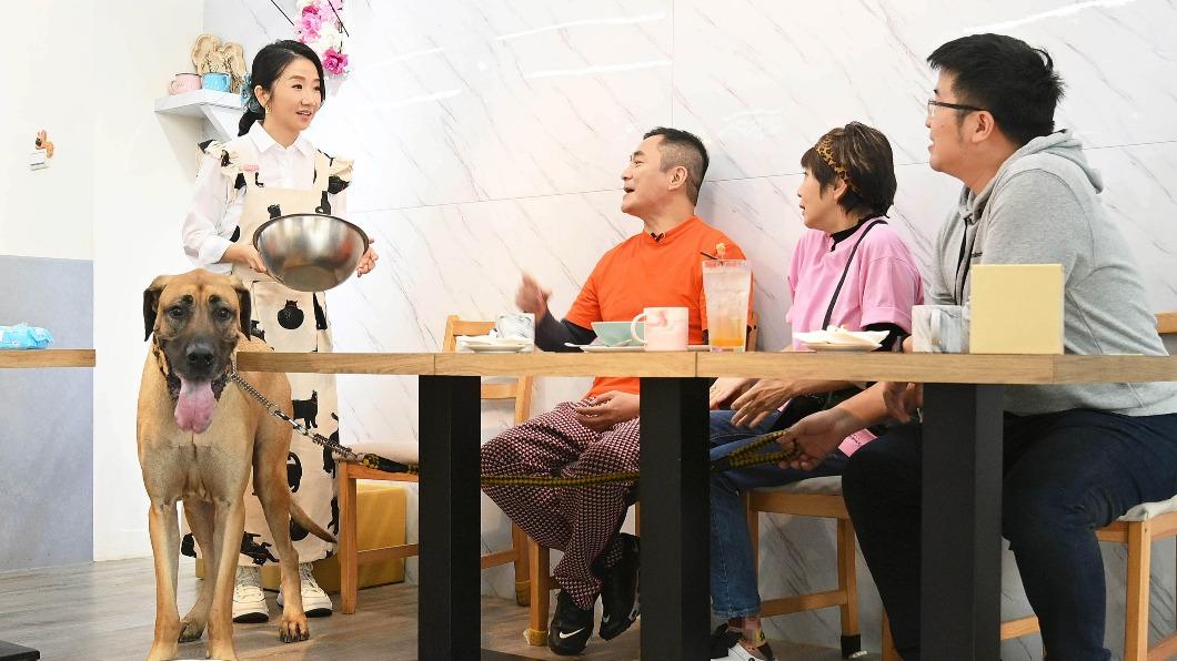陶晶瑩爽快接大案子「員工當場翻白眼」 緊張急喊:我被瞪了