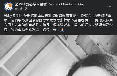 動物慈善機構發文悼念蔡天鳳。(圖/翻攝自愛豹仕愛心慈善機構臉書)