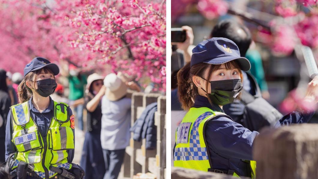 局長交管失敗?美女警櫻花樹下指揮 網友:找到塞車原因