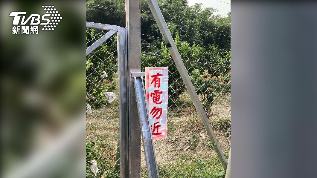 110年補助架設電圍網措施起跑 歡迎民眾向當地公所或農會提出申請/圖:雲林農業處