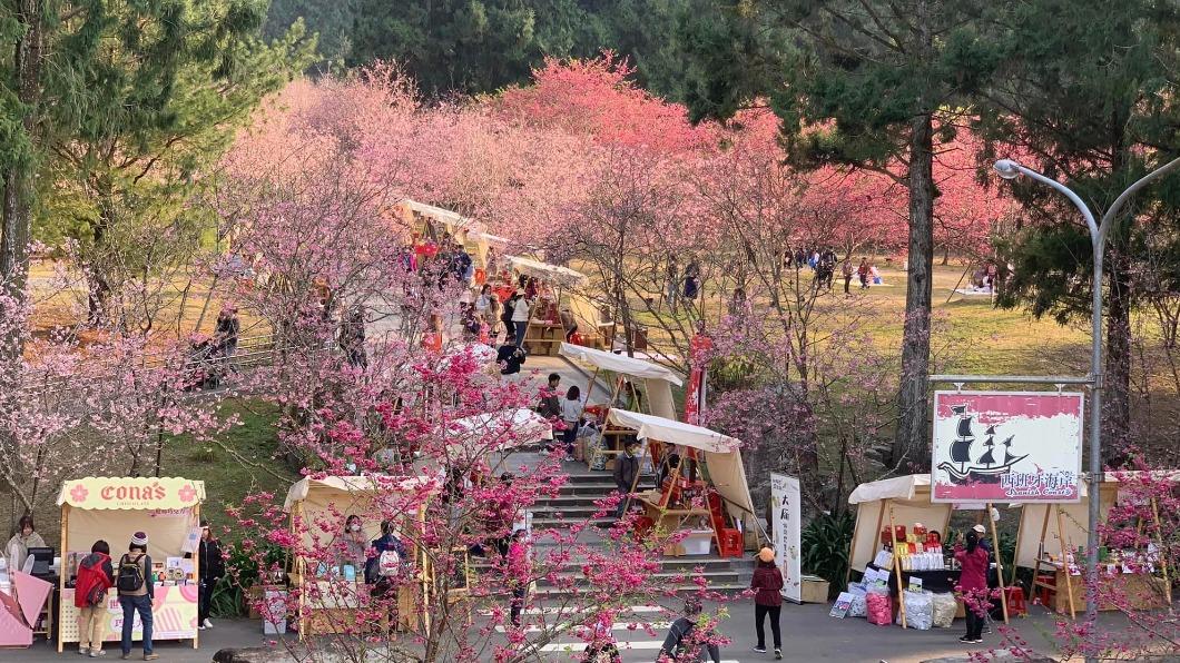 九族文化村在開園45分鐘後就湧入上萬人次。(圖/翻攝自九族文化村臉書)
